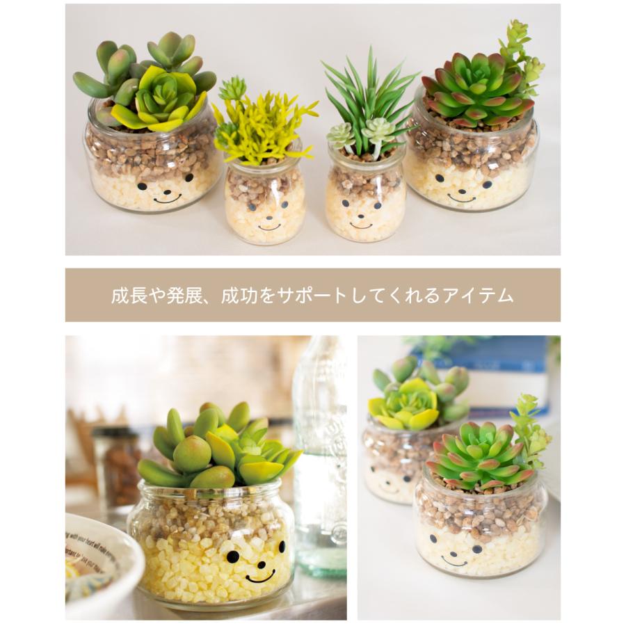 フェイクグリーン 多肉植物 サボテン 風水 人工観葉植物 造花 消臭アーティフィシャルグリーン おしゃれ 玄関 キッチン CT触媒 ギフト Famille ファミーユ L｜ampoule｜08