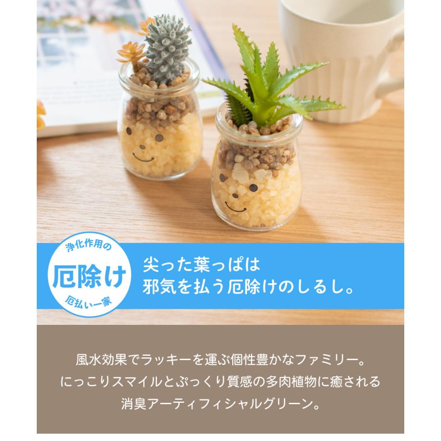 フェイクグリーン 多肉植物 サボテン 風水 人工観葉植物 造花 消臭アーティフィシャルグリーン おしゃれ 玄関 キッチン Ct触媒 ギフト Famille ファミーユ S Kh おしゃれ照明のampoule 通販 Yahoo ショッピング