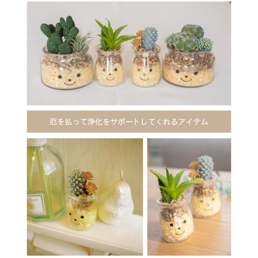 フェイクグリーン 多肉植物 サボテン 風水 人工観葉植物 造花 消臭アーティフィシャルグリーン おしゃれ 玄関 キッチン Ct触媒 ギフト Famille ファミーユ S Kh おしゃれ照明のampoule 通販 Yahoo ショッピング