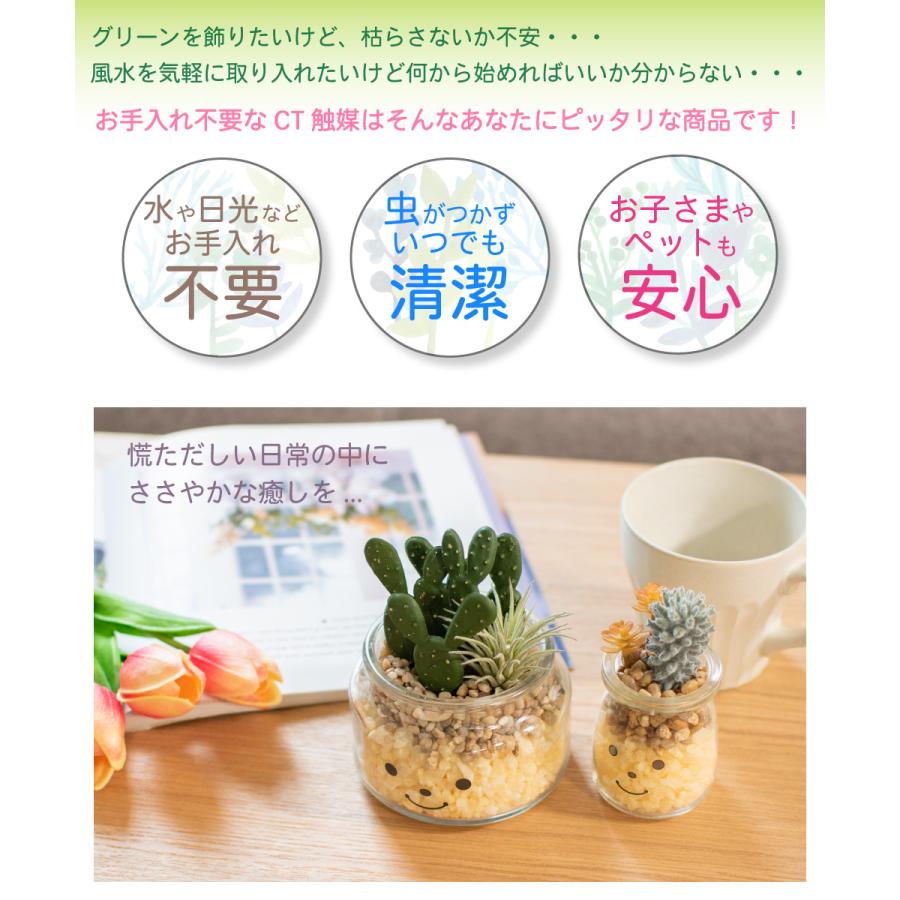 フェイクグリーン 多肉植物 サボテン 風水 人工観葉植物 造花 消臭アーティフィシャルグリーン おしゃれ 玄関 キッチン CT触媒 ギフト Famille ファミーユ L｜ampoule｜06