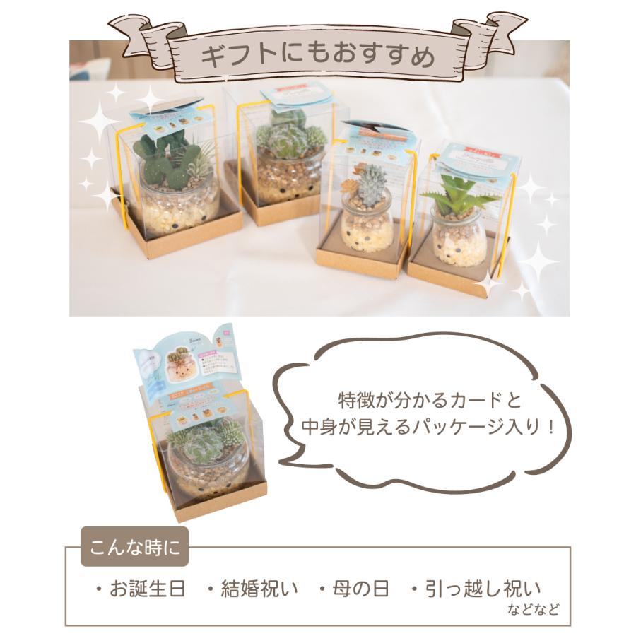 キシマ フェイクグリーン 多肉植物 サボテン 風水 人工観葉植物 造花