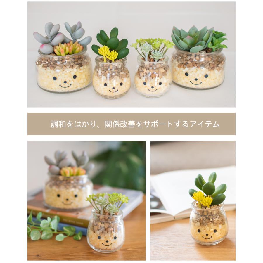 現品】 多肉植物 花サボテン 風雅 多肉植物 サボテン フェイク 通販