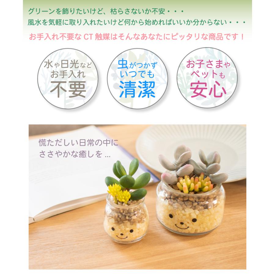 フェイクグリーン 多肉植物 サボテン 風水 人工観葉植物 造花 消臭アーティフィシャルグリーン おしゃれ 玄関 キッチン CT触媒 ギフト Famille ファミーユ L｜ampoule｜06