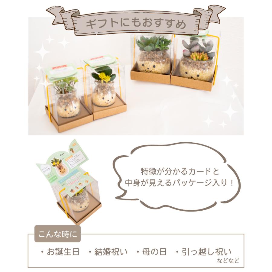 希少♡未使用　ドレスデン　クリスタル花瓶　グリーン 希少 ドイツ製 DRESDEN KRISTALL ドレスデンクリスタル 大型 花瓶