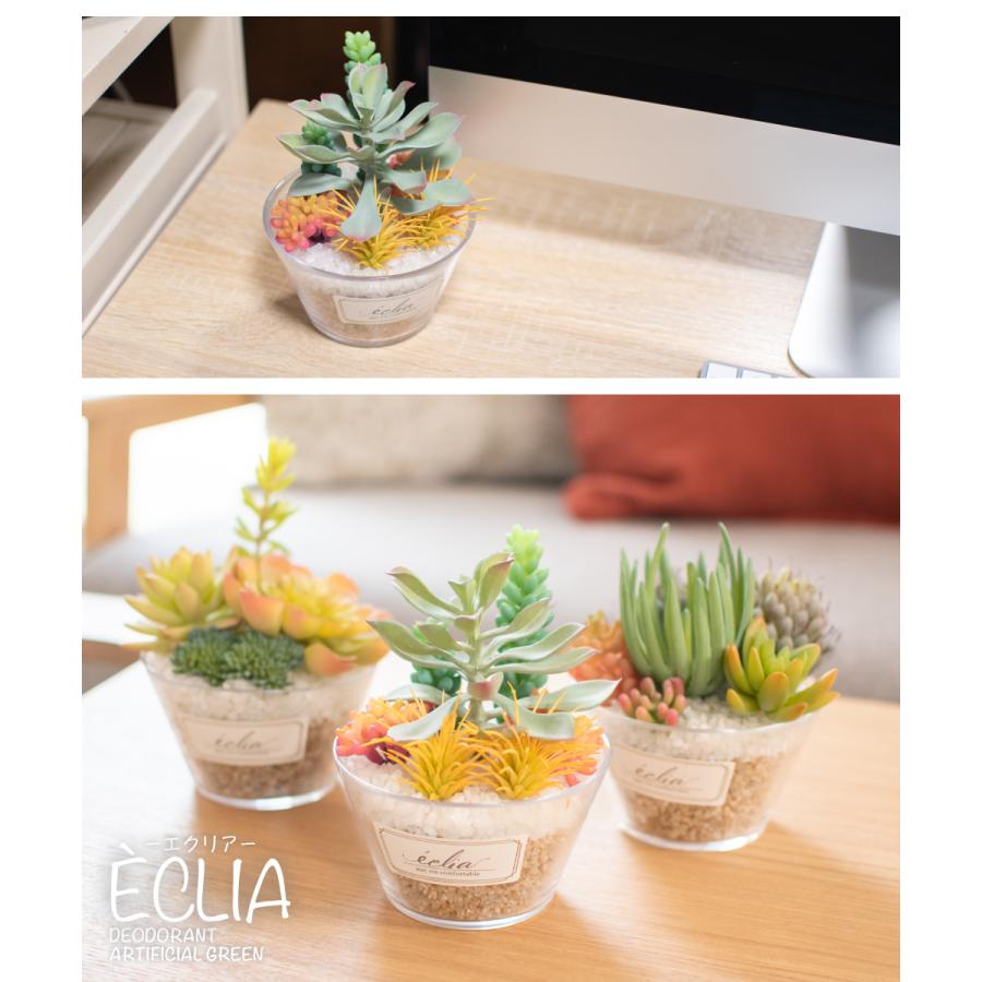 キシマ（KISHIMA） フェイクグリーン 多肉植物 サボテン パステル 人工