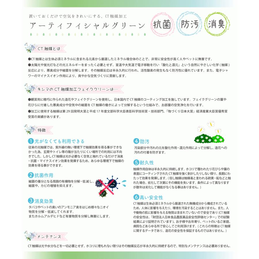 9円 人気ブランド フェイクグリーン 多肉植物 サボテン パステル 人工観葉植物 造花 消臭アーティフィシャルグリーン おしゃれ 玄関 キッチン Ct触媒 ギフト Eclia エクリア L