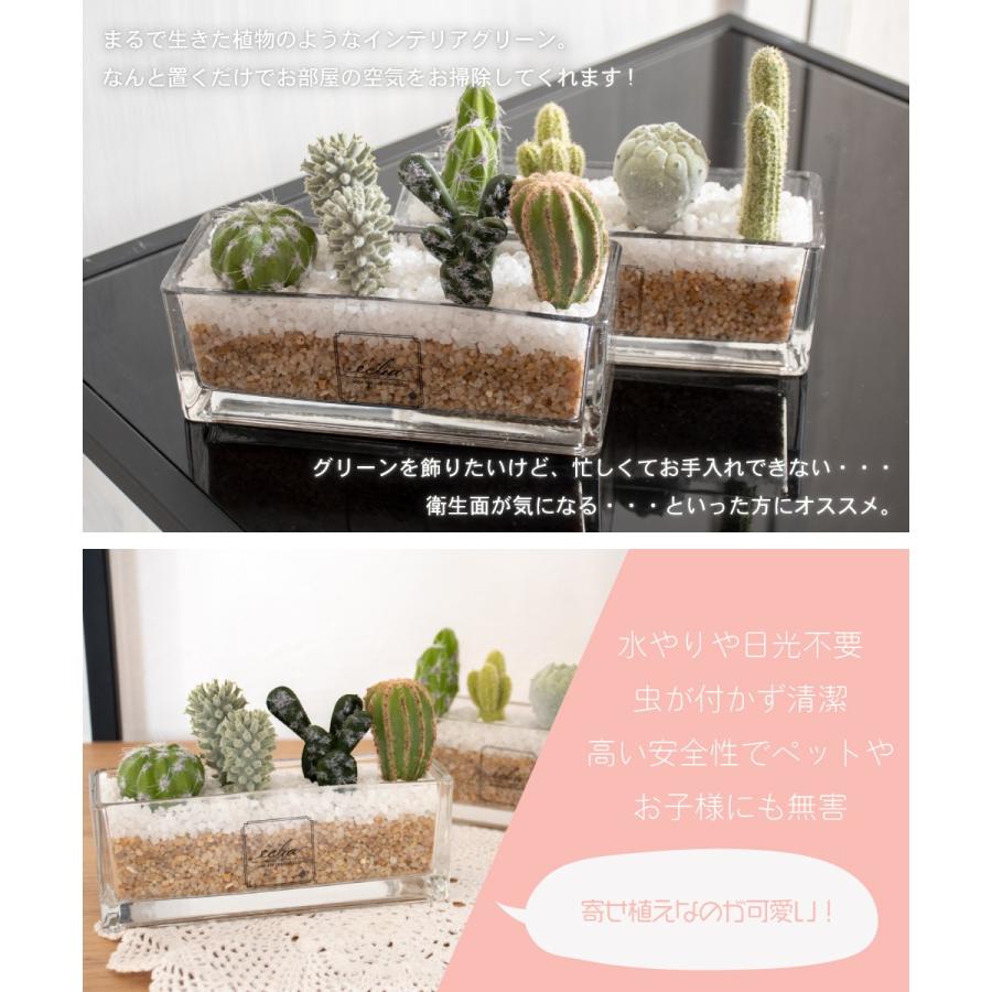 フェイクグリーン ミニ 卓上 おしゃれ インテリア サボテン 多肉植物 消臭 アーティフィシャルグリーン リビング 抗菌 寄せ植え ギフト Eclia エクリア 横型 Kh おしゃれ照明のampoule 通販 Yahoo ショッピング