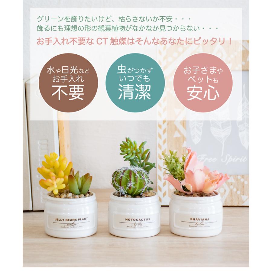 インテリアグリーン 観葉植物 フレーム 手入れ不要 Ct触媒 消臭 抗菌 防汚 お値打ち価格で