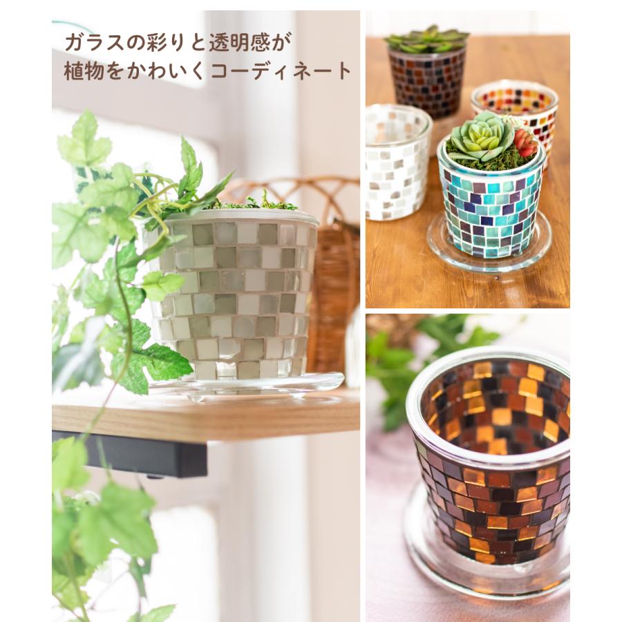 キシマ 植木鉢 おしゃれ 鉢カバー 鉢 3.5号 10.5cm 受け皿付き キシマ 植木鉢 おしゃれ 鉢カバー 鉢 3.5号 10.5cm 受け皿付き