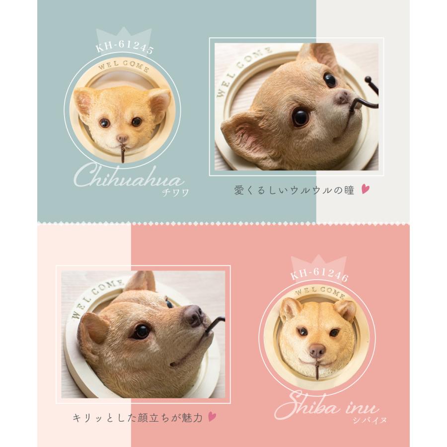 キシマ（KISHIMA） ウォールフック ウォールハンガー 壁掛け 収納 動物