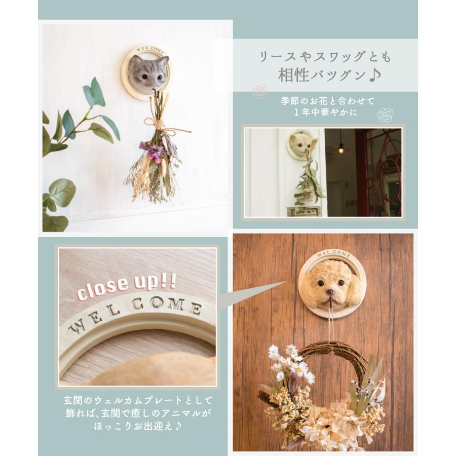 キシマ（KISHIMA） ウォールフック ウォールハンガー 壁掛け 収納 動物