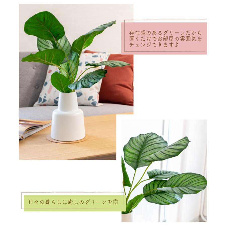 キシマ（KISHIMA） フェイクグリーン おしゃれ カラテア 観葉植物 人工