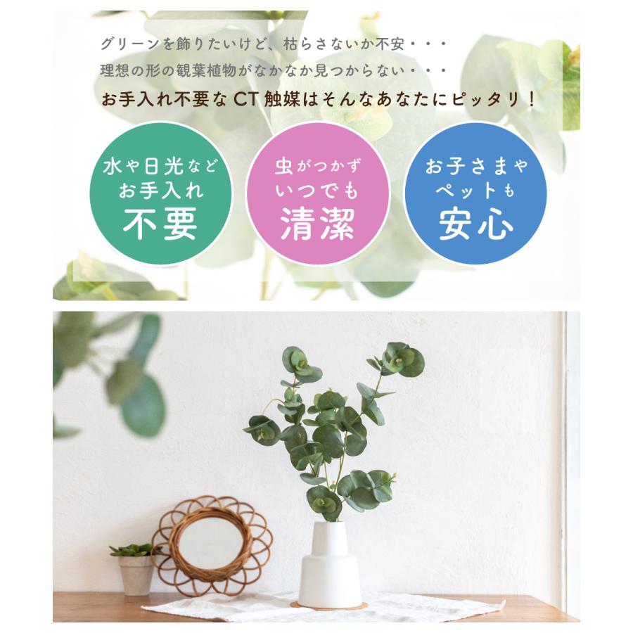キシマ フェイクグリーン おしゃれ ユーカリ 観葉植物 人工観葉 キシマ フェイクグリーン おしゃれ ユーカリ 観葉植物 人工観葉
