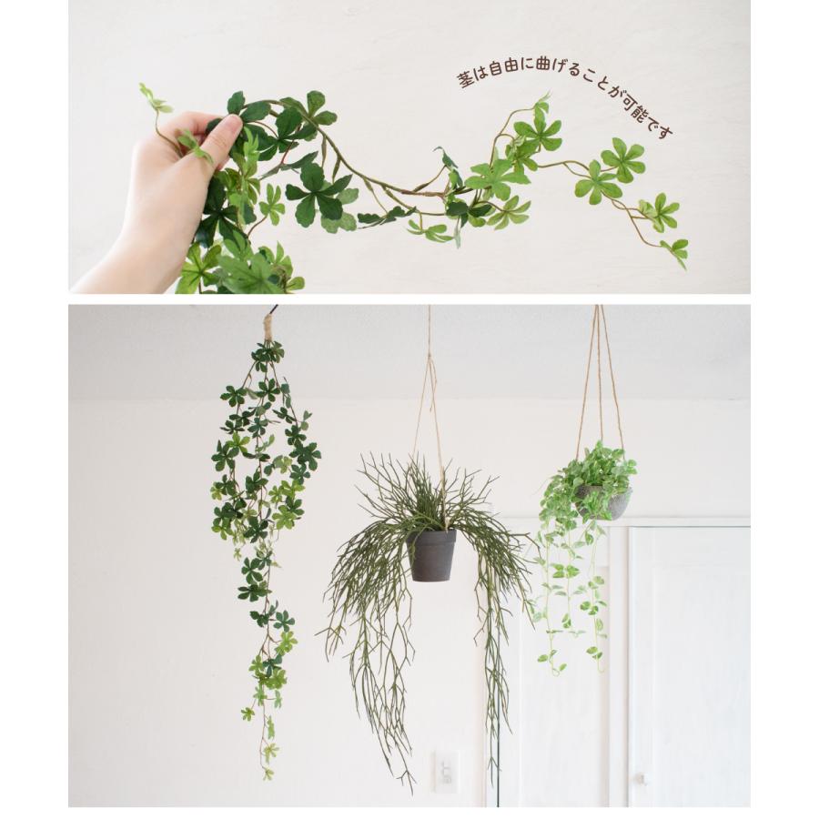 専用＊シログリーン　フェイクスワッグ 専用＊シログリーン フェイクスワッグ 楽天市場】【公式】シルバー