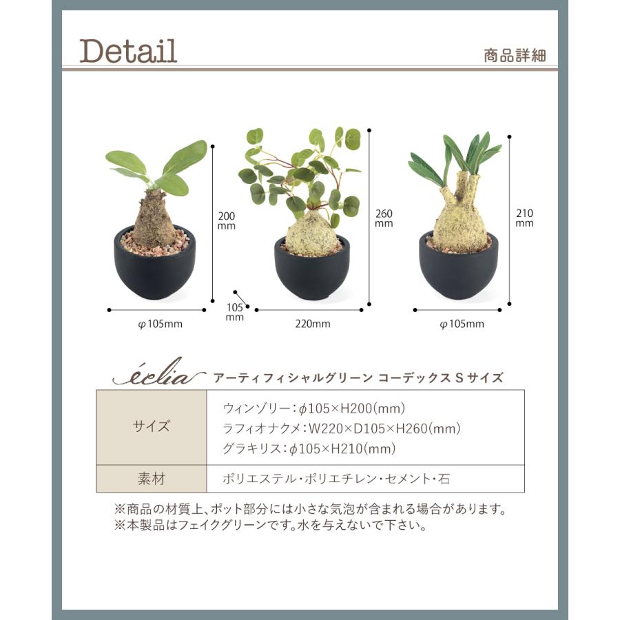 キシマ フェイクグリーン 多肉植物 コーデックス 小さい ミニ 鉢 キシマ フェイクグリーン 多肉植物 コーデックス 小さい ミニ 鉢