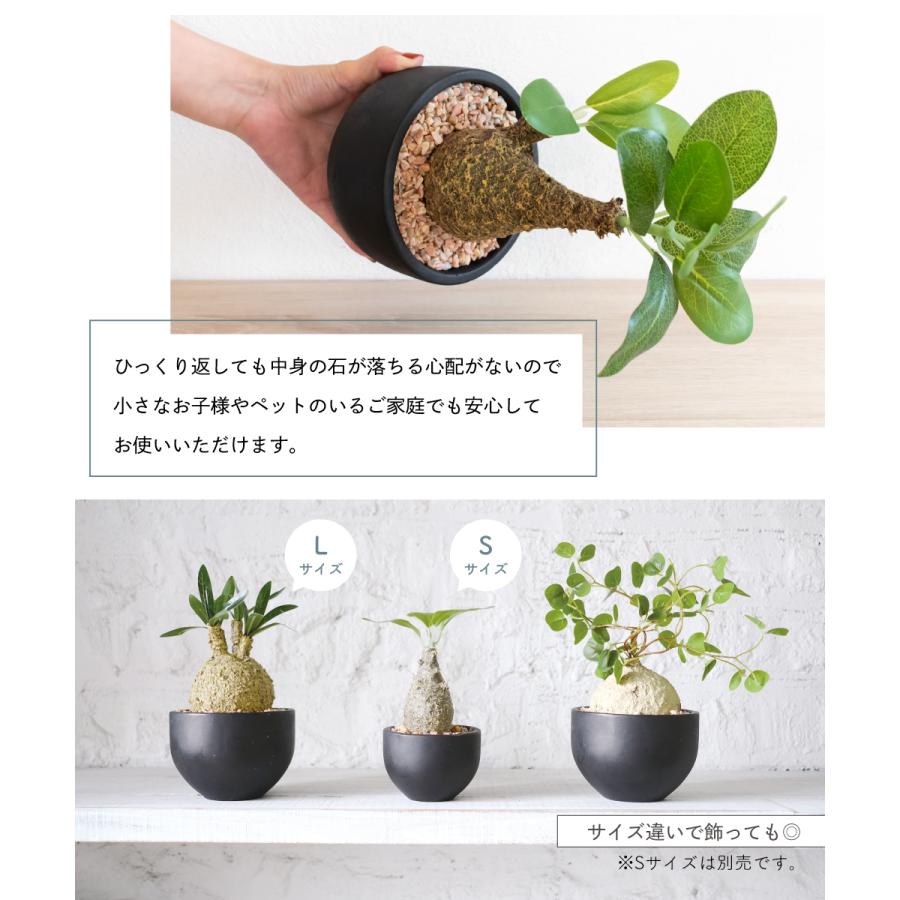 キシマ フェイクグリーン 多肉植物 コーデックス 鉢 おしゃれ キシマ フェイクグリーン 多肉植物 コーデックス 鉢 おしゃれ
