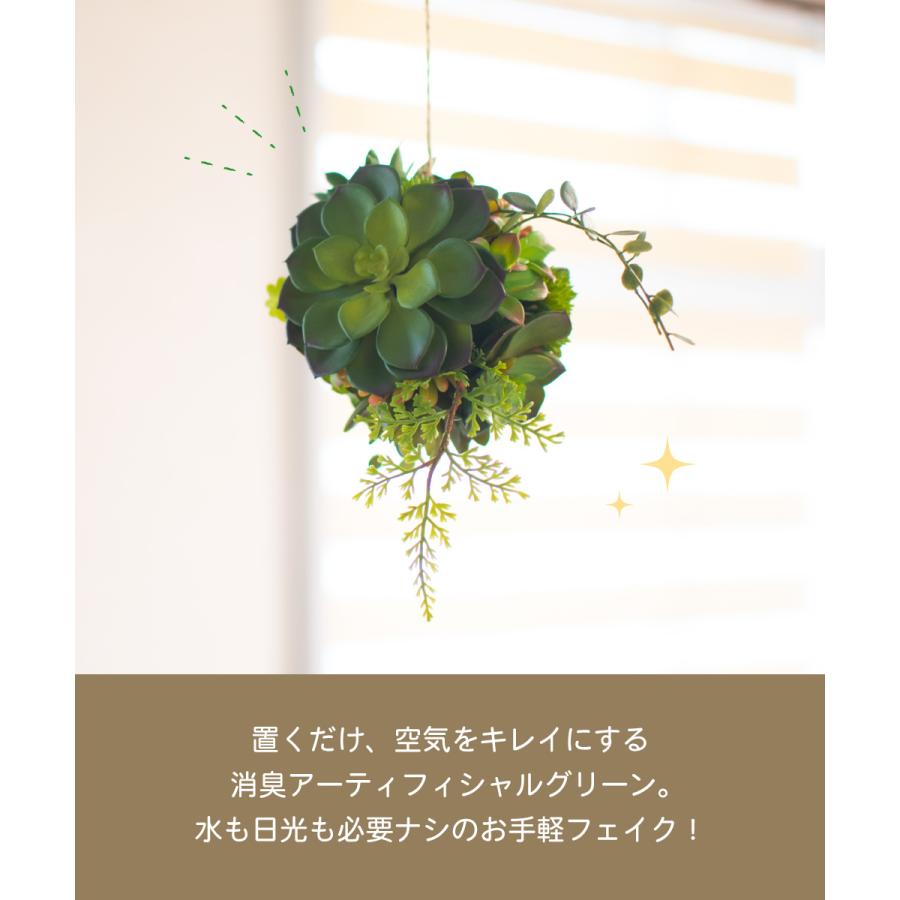 874円 無料発送 フェイクグリーン おしゃれ 人工観葉 多肉植物 インテリア ハンギング 観葉植物 造花 グリーン 消臭 抗菌 トイレ 玄関 リビング Ct触媒 ギフト Eclia エクリア
