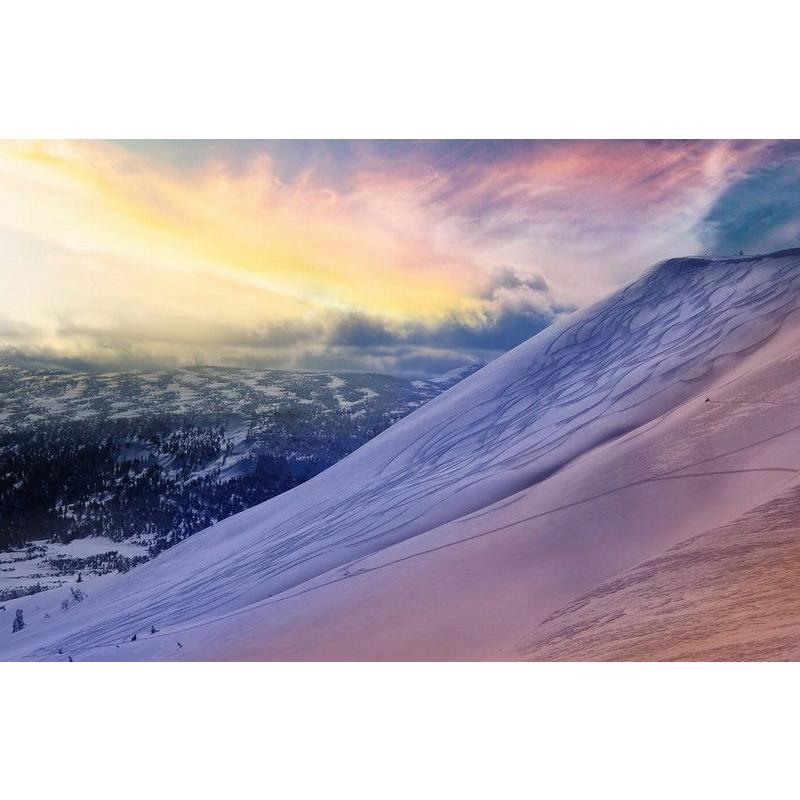 Bluemoris（ブルーモリス） スキー 2026 Bluemoris S-POTION Black +