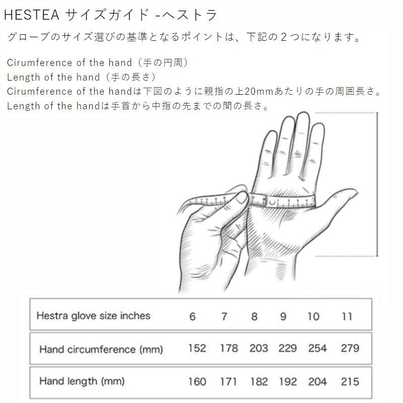 HESTRA（ヘストラ） スノーグローブ 2026 HESTRA WAKAYAMA ワカヤマ