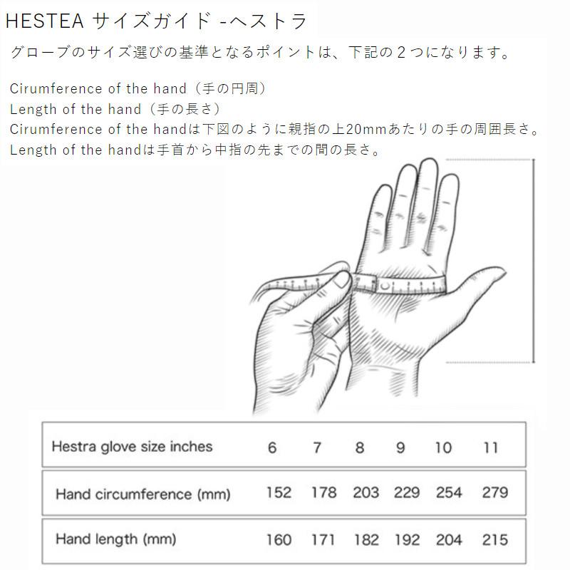 HESTRA（ヘストラ） グローブ 2026 HESTRA 32950 ERGO GRIP ACTIVE