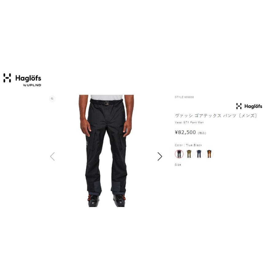 HAGLOFS（ホグロフス） スノーウエア Haglofs Vassi GTX Pant Men True