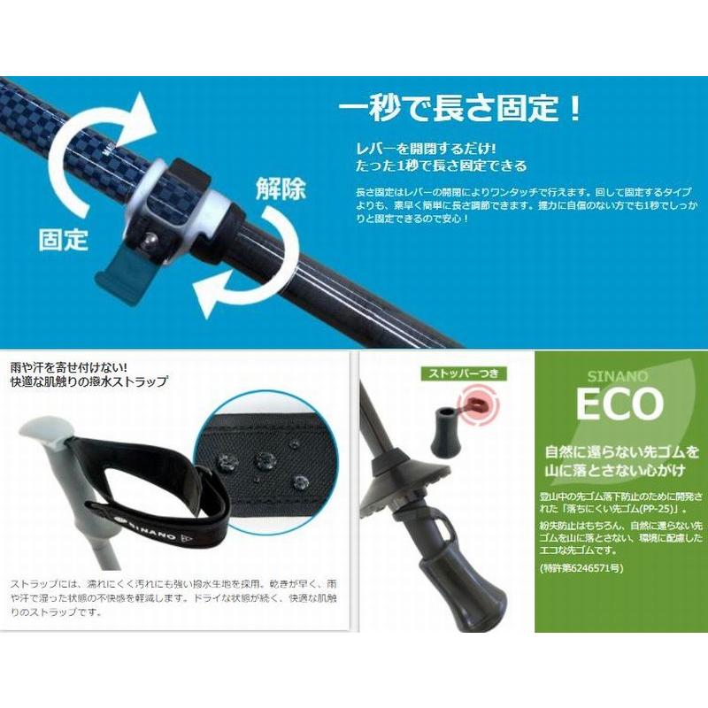 SINANO（シナノ） SINANO Fast-130 カーボン W ブラック 105-130cm 2本