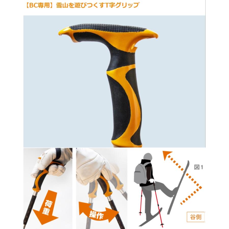 掛け軸 前大徳 藤井誠堂 「 春入千林處々鶯 」 紙本 希少 軸装 茶掛