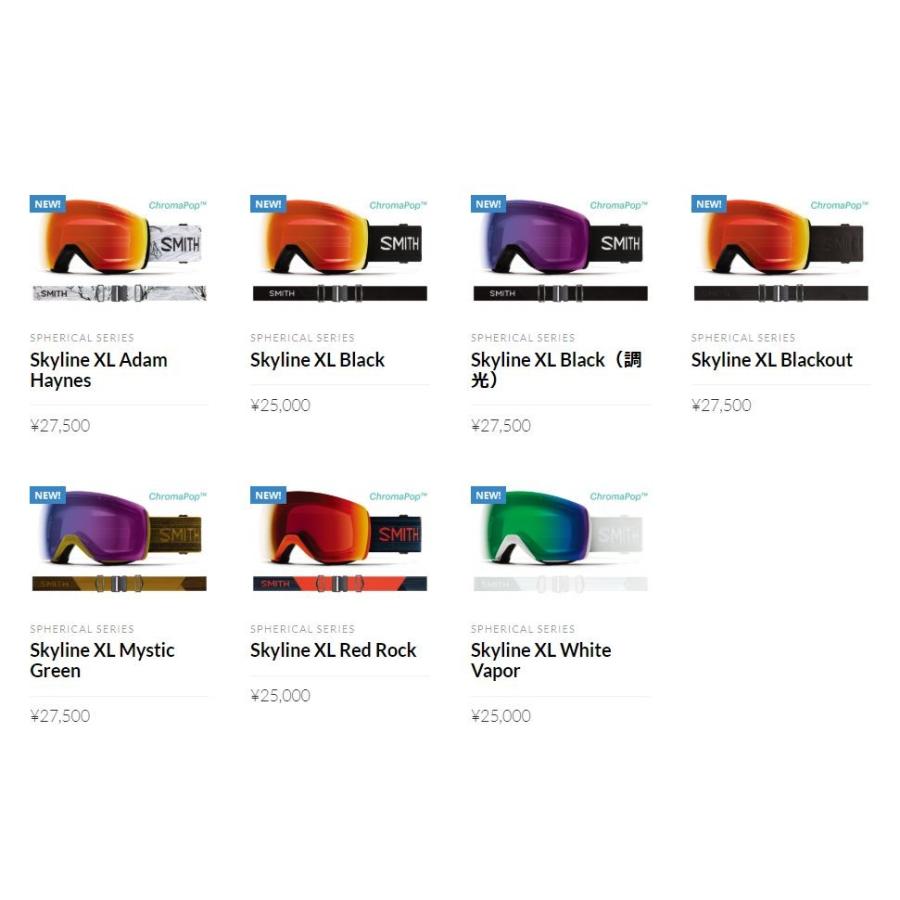 SMITH（スミス） 2020 SMITH SKYLINE XL ADAM HAYNES CP Photochromic