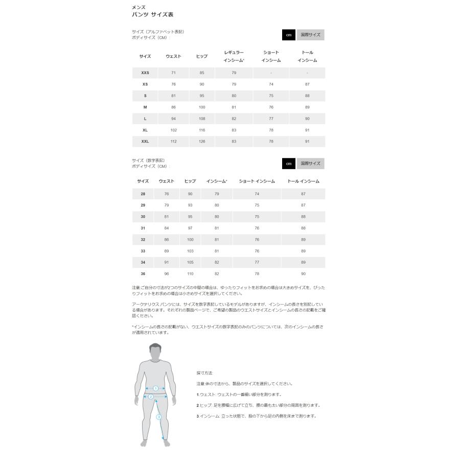 ARC'TERYX アークテリクス Rush Bib Men Boxcar スキー スノボ