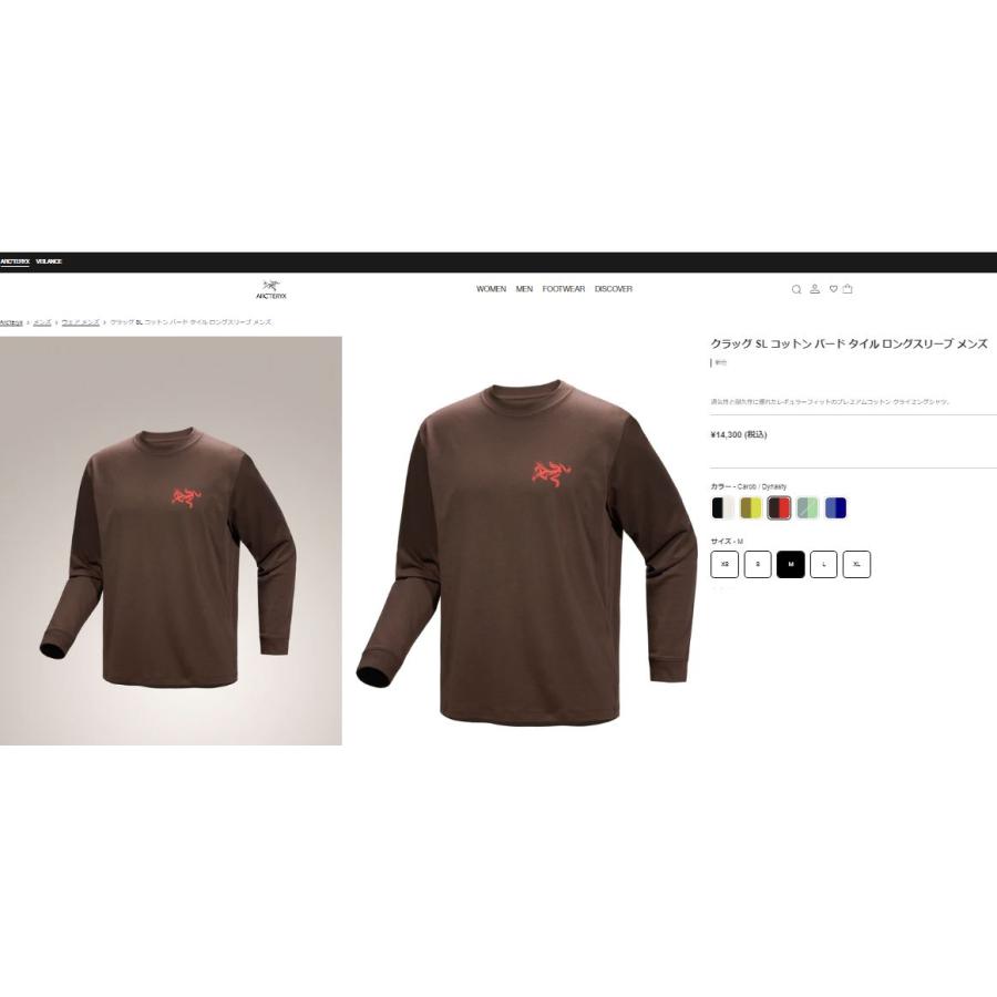 ARC'TERYX（アークテリクス） ARC'TERYX Kragg SL Cotton Bird Tile LS