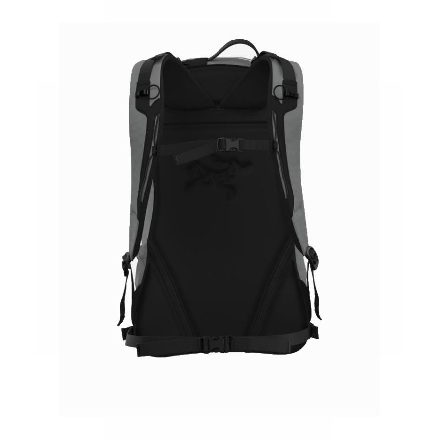 ARC'TERYX（アークテリクス） ARC'TERYX Arro 22 Backpack Void/Cloud