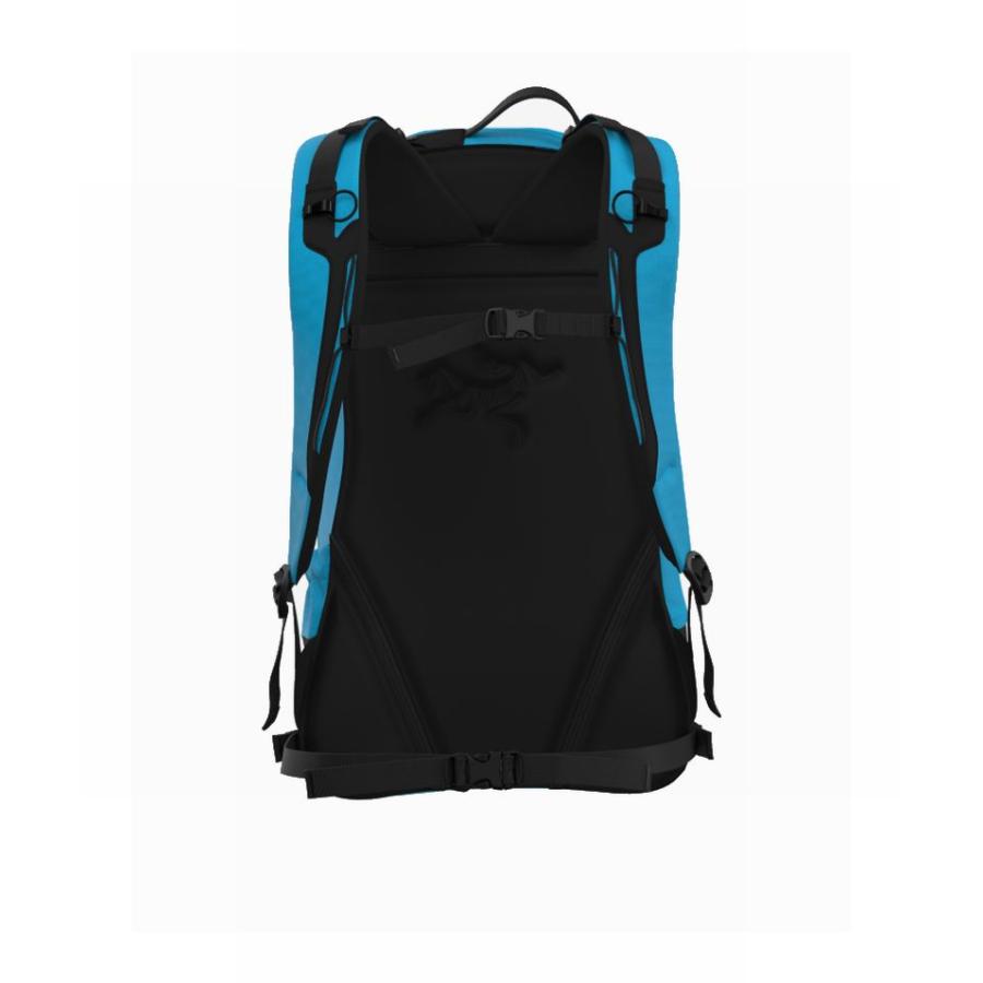 ARC'TERYX アークテリクスリュック ARROW22 BackPack ARC'TERYX（アークテリクス） ARC'TERYX Arro 22 Backpack Aquaculture