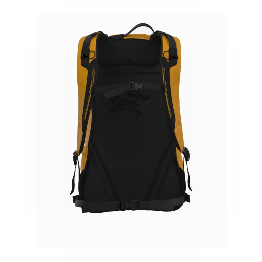 ARC'TERYX（アークテリクス） ARC'TERYX Arro 22 Backpack Nucleus