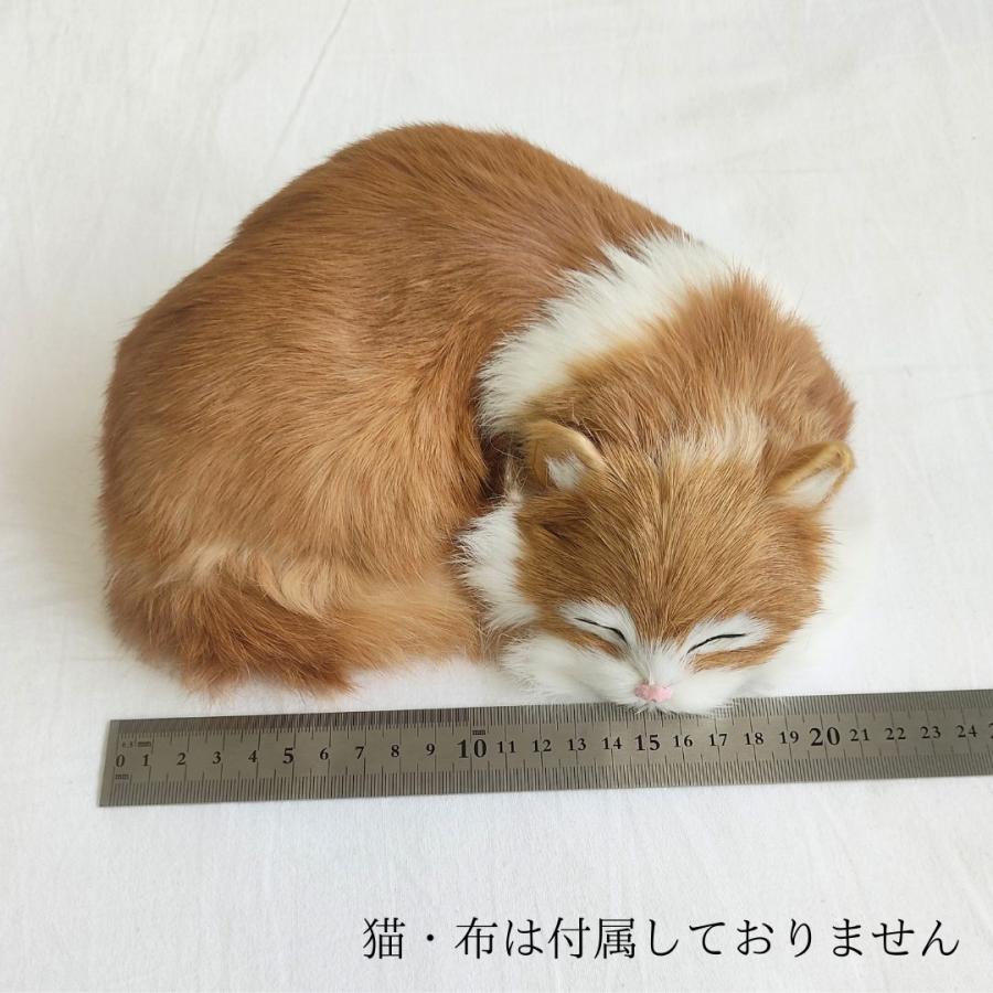 ニャンかご小 紙バンドキット 名入れOK【3千円以上で送料無料】エコ
