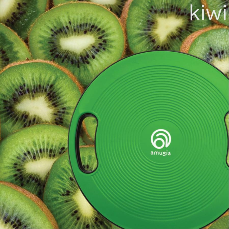 国内外の人気 バランスボード 直径40cm 耐荷重量150kg 運動不足解消 体幹トレーニング ダイエット スライドディスク付 Amugis おはよう朝日です 和牛さん使用商品 Whitesforracialequity Org