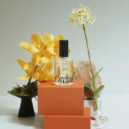 送料無料 メゾンオルキデ グロスオイル 100ml 3個 b-ex : amugis Yahoo