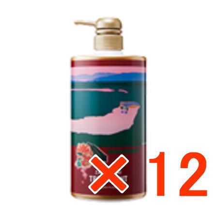 送料無料 サニープレイス ザクロ精炭酸トリートメント 500g ポンプ 12個 送料無料 サニープレイス ザクロ精炭酸トリートメント 500g ポンプ 12