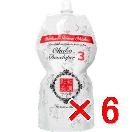 送料無料 日本グランデックス 和漢彩染 十八番 デベロッパー 3% 1000ml 6個 ?白髪染め カラーリング 第2剤 送料無料 日本グランデックス 和漢彩染 十八番 デベロッパー 3% 1000ml