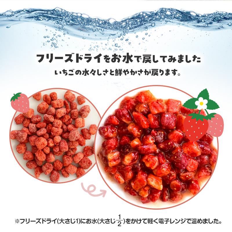 アミュード フリーズドライ いちご イチゴ トッピング クリスマス
