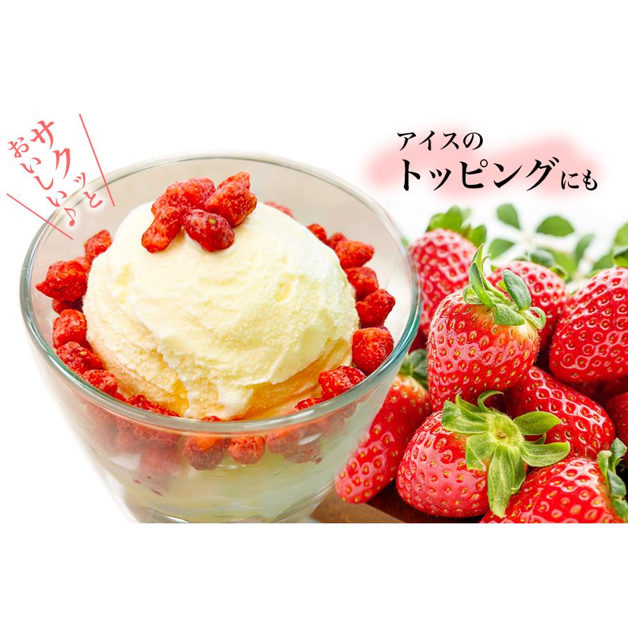 アミュード フリーズドライ いちご イチゴ トッピング クリスマス