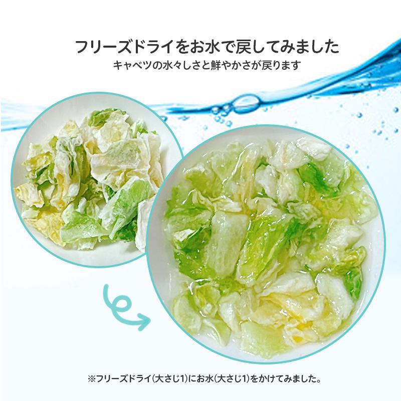 アミュード フリーズドライ キャベツ 国産 野菜 みそ汁 スープ 具材