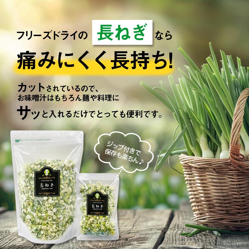 アミュード フリーズドライ 長ねぎ ネギ スープ みそ汁 国産 野菜 乾燥