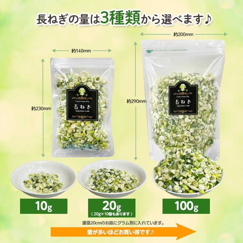 アミュード フリーズドライ 長ねぎ ネギ スープ みそ汁 国産 野菜 乾燥