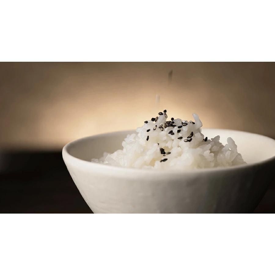 アミュード ごま塩 ごましお ゴマ塩 1.5g 100食 ごま 胡麻 ふりかけ