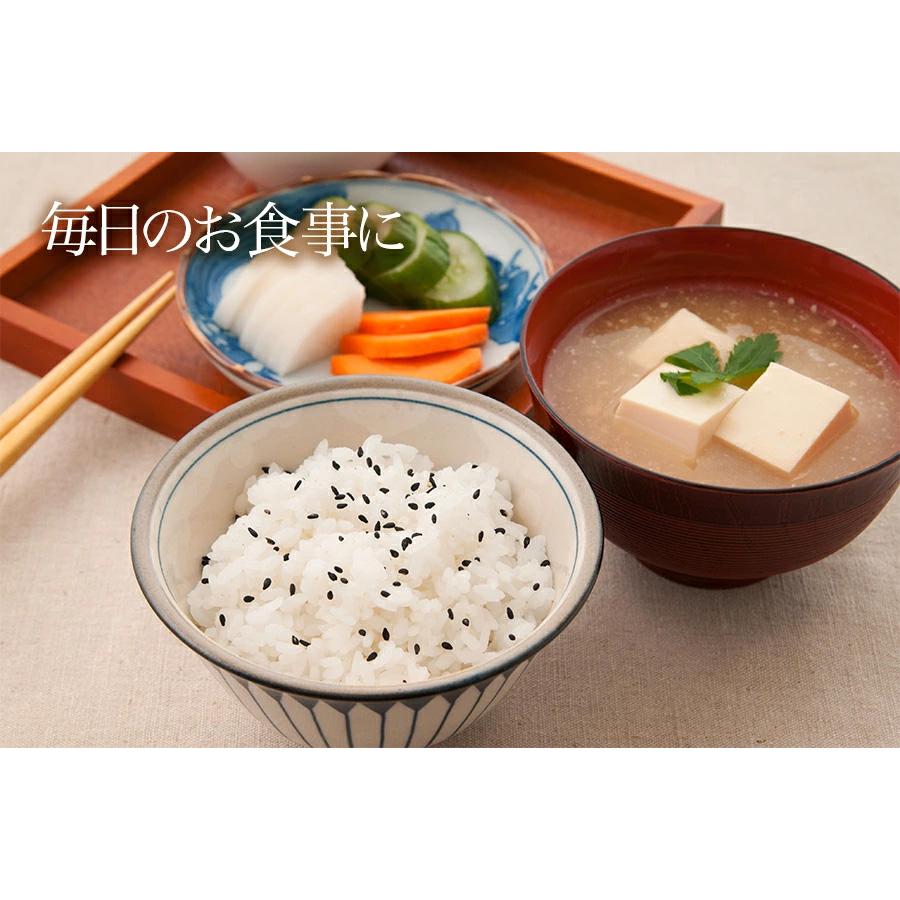 アミュード ごま塩 ごましお ゴマ塩 1.5g 100食 ごま 胡麻 ふりかけ
