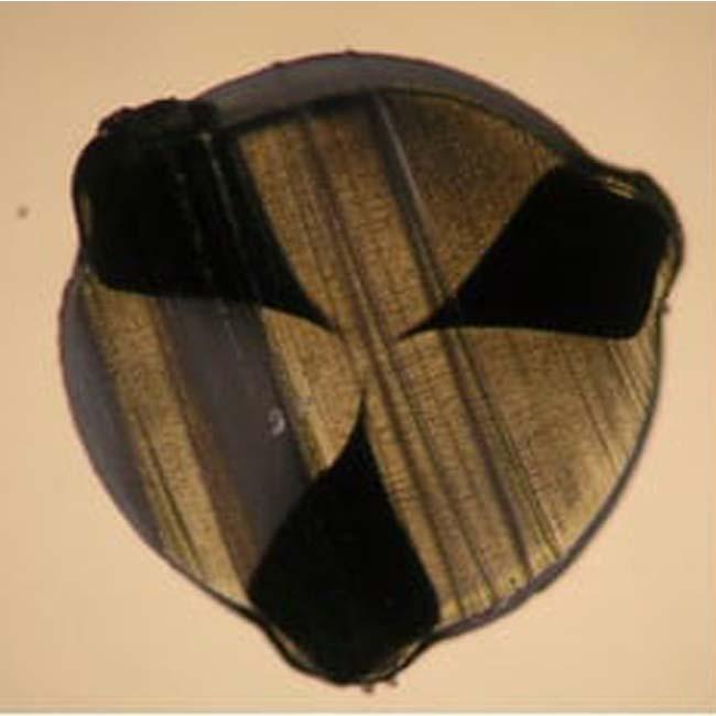 トアルソン(TOALSON) レンコン デビルスピン(RENCON Devil Spin) 240Mロール (1.20mm／1.25mm／1.30mm) 硬式テニス ポリエステルガット(17y11m) |  | 06