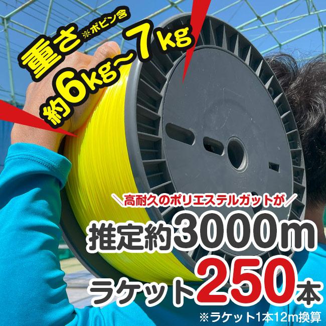 コスパ最強ポリガット3000m巻！テニス馬鹿なガット 1.2mm／1.3mm 激安250回分 3km徳用ロールガット 硬式テニス ポリエステルガット TBRG001 部活・クラブ向け |  | 02