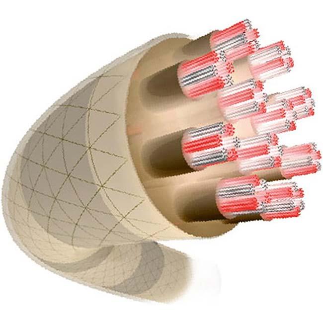 【単張パッケージ品】テクニファイバー X-ONE BIPHASE エックスワンバイフェイズ 1.18／1.24／1.30／1.34mm 硬式テニス マルチフィラメントガット TFSG201 |  | 05