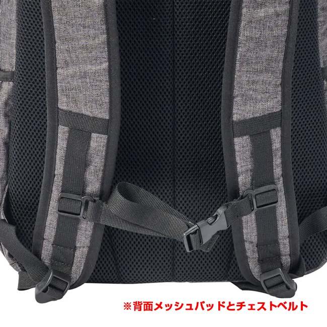 ラケット収納可 プリンス(Prince) 2025 ユニセックス AT Series ラケットバッグ2本入り バックパックタイプ テニスバッグ AT573(25y1m) |  | 18