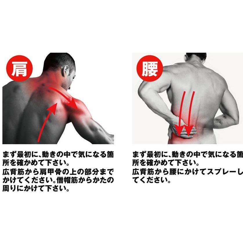 ボディケアに最適  Palourde(パルード) SPARK Total Body Care 即効体感全身ケアスプレー スパーク(18y3m) |  | 02